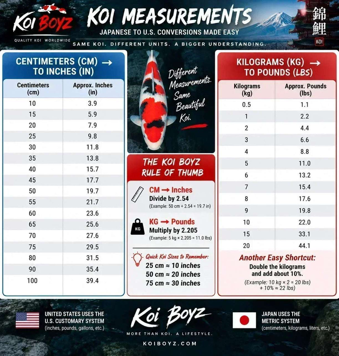 Understanding Japanese Koi Measurements: CM to Inches & KG to Pounds