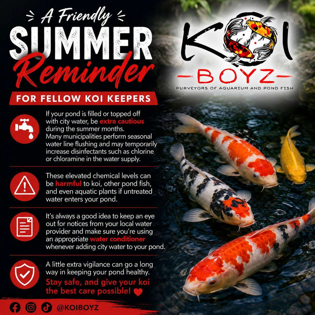 City Water & Koi Ponds: What Every Koi Keeper Should Know