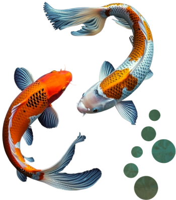 KoiFish<span> and Pond Products</span>