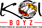 Koi Boyz